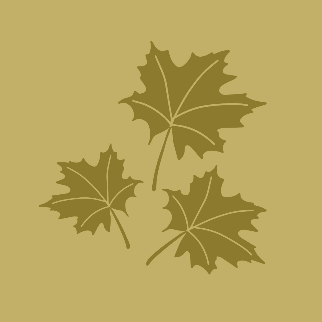 green leaves